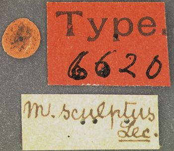 Media type: image;   Entomology 6620 Aspect: labels